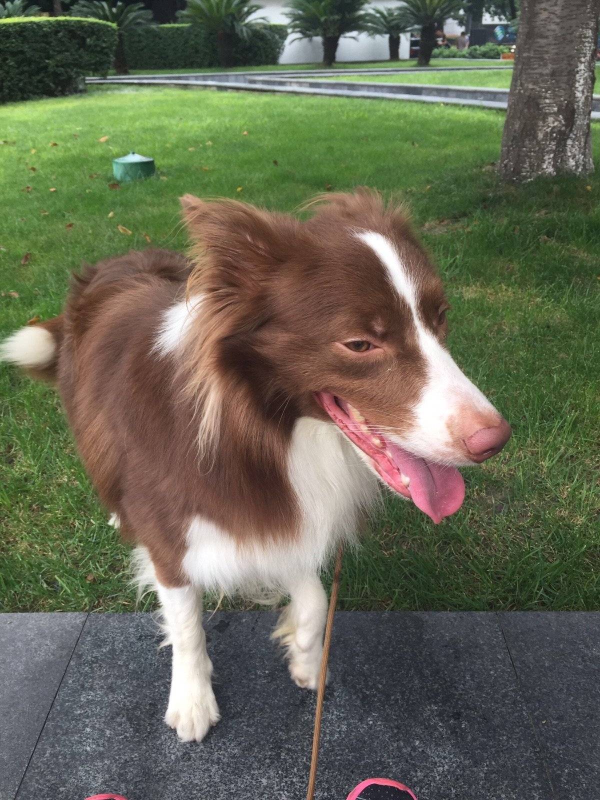 哎呀！看你这是最后一次了，算了，带你在淘气一次[可爱][可爱]