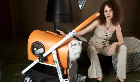 跨界者来了,宠物用品出海又添新战事!