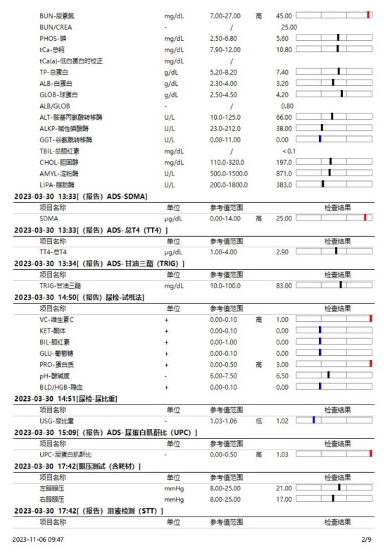 一例犬睾丸肿瘤的诊断与治疗