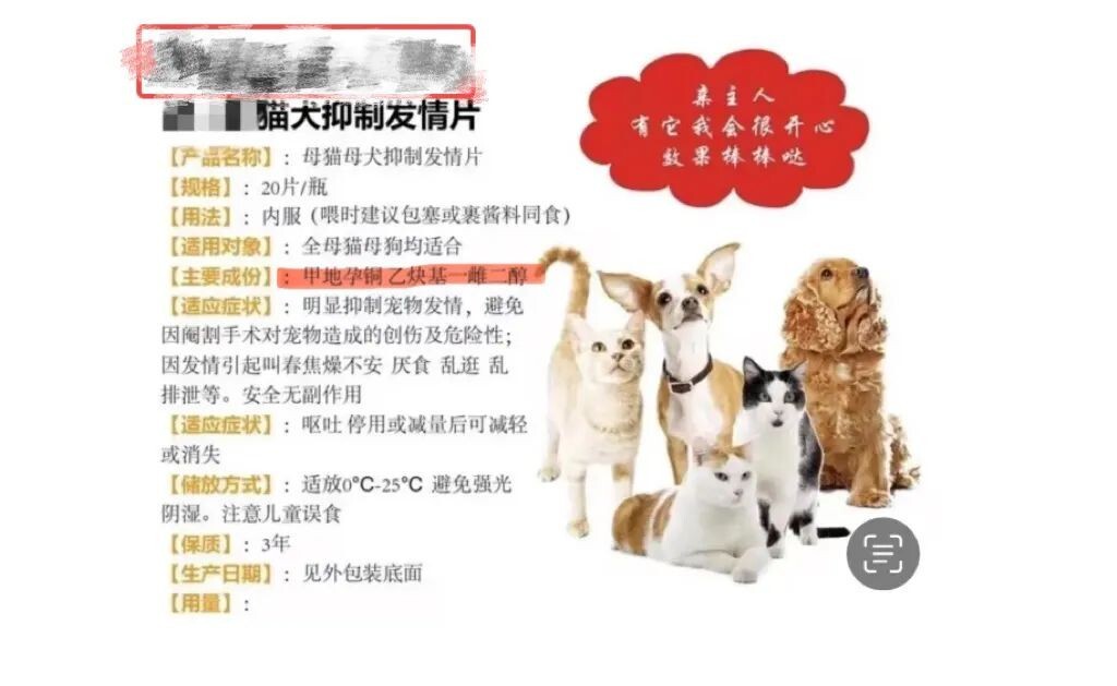 宠物发情喂避孕药可以吗?这些后果需要考虑