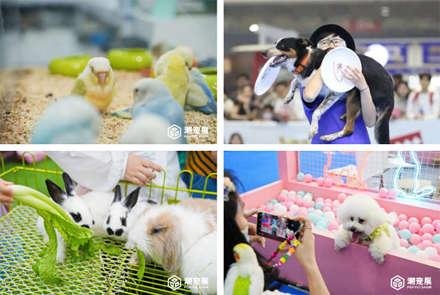 广州国际潮宠展7大亮点提前揭秘