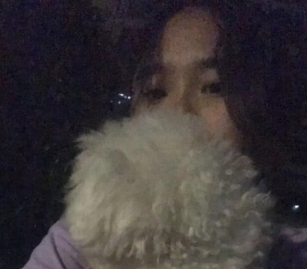 中国式遛狗,其实狗狗也想要沐浴阳光