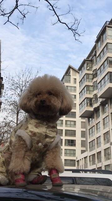 今天的风,怡人,今天的阳光,暖人~今天是惊蛰,春回大地,万物萌动。春回大地!是爱,是暖,是希望