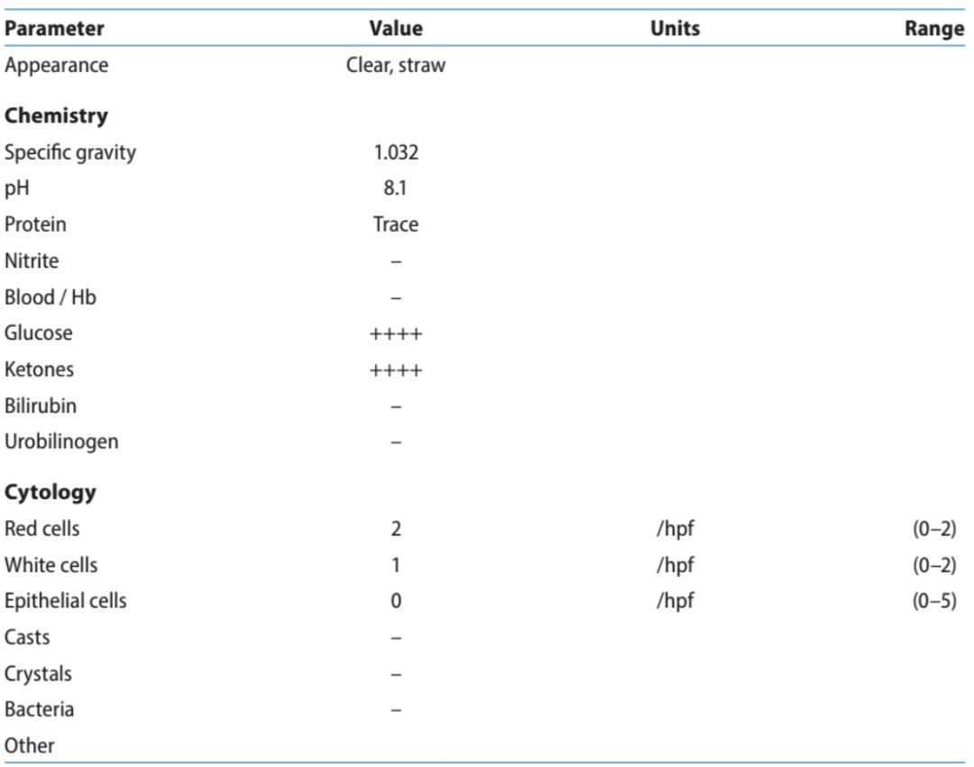 11 岁公犬的糖尿病酮症酸中毒病例分析