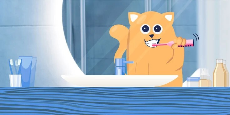 猫牙周病：病因、症状和治疗方法