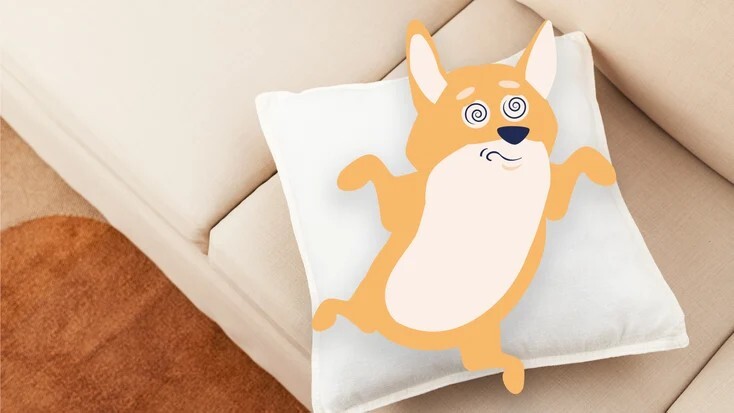 犬癫痫发作：病因、症状和治疗