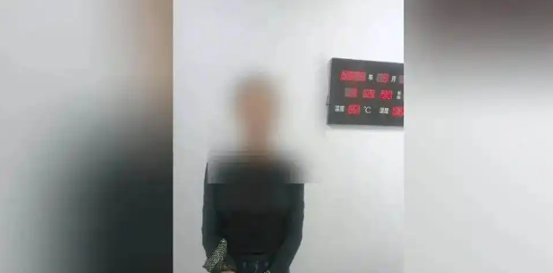 大反转!网传“贵州文昌阁多只小猫被挖眼”系AI编造