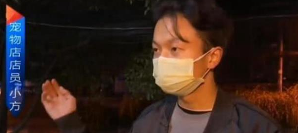 狗狗送去宠物店洗澡,不到10分钟就死了?主人怒索赔2万元