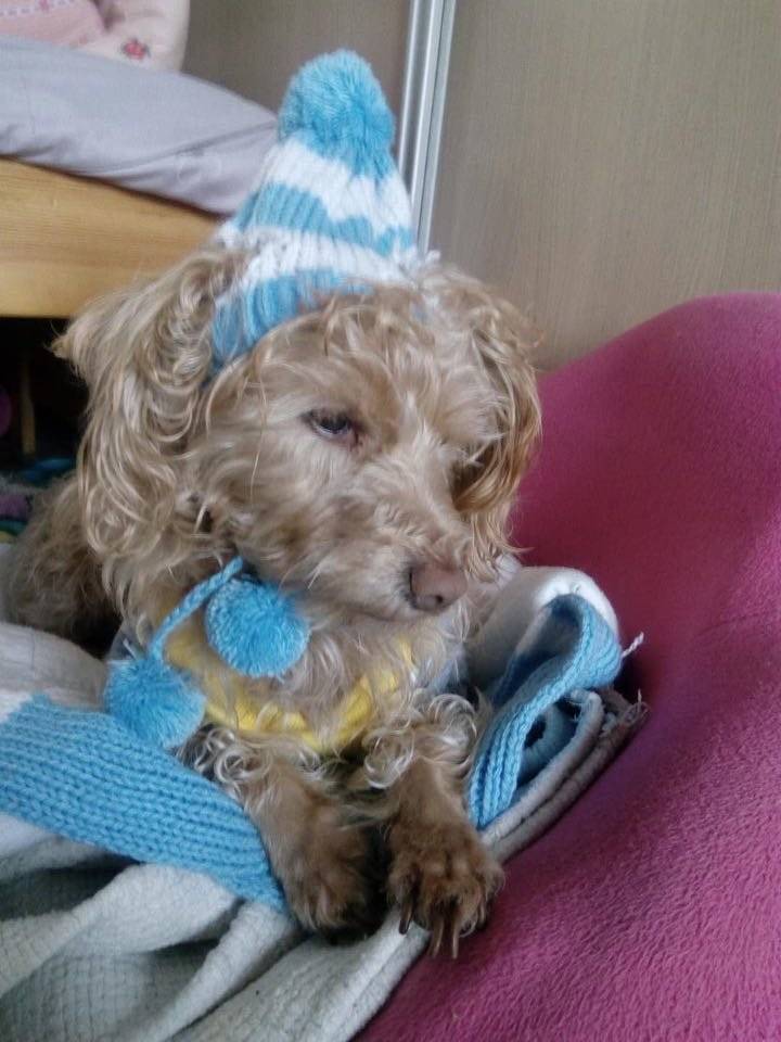 这么大的雪朕也是第一次见忧国忧民