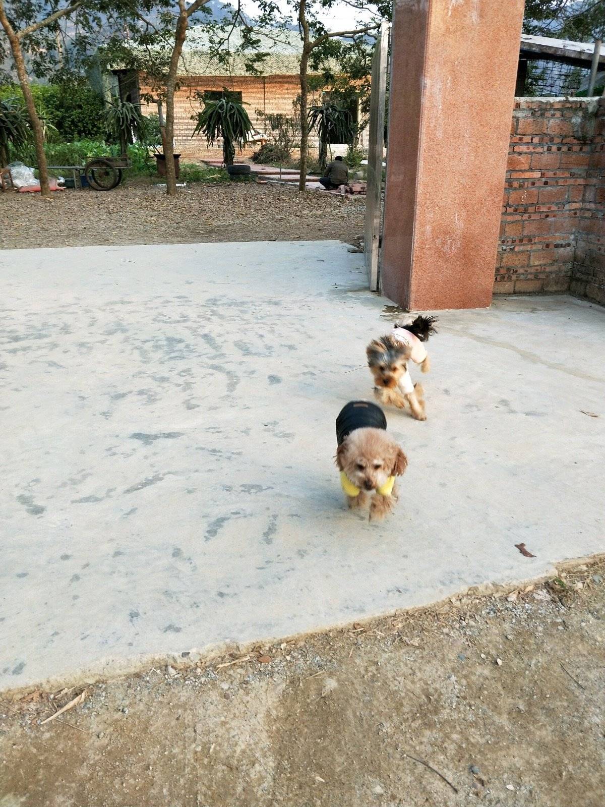 周末了，夕阳西下以前不陪你们疯狂一下怎么行