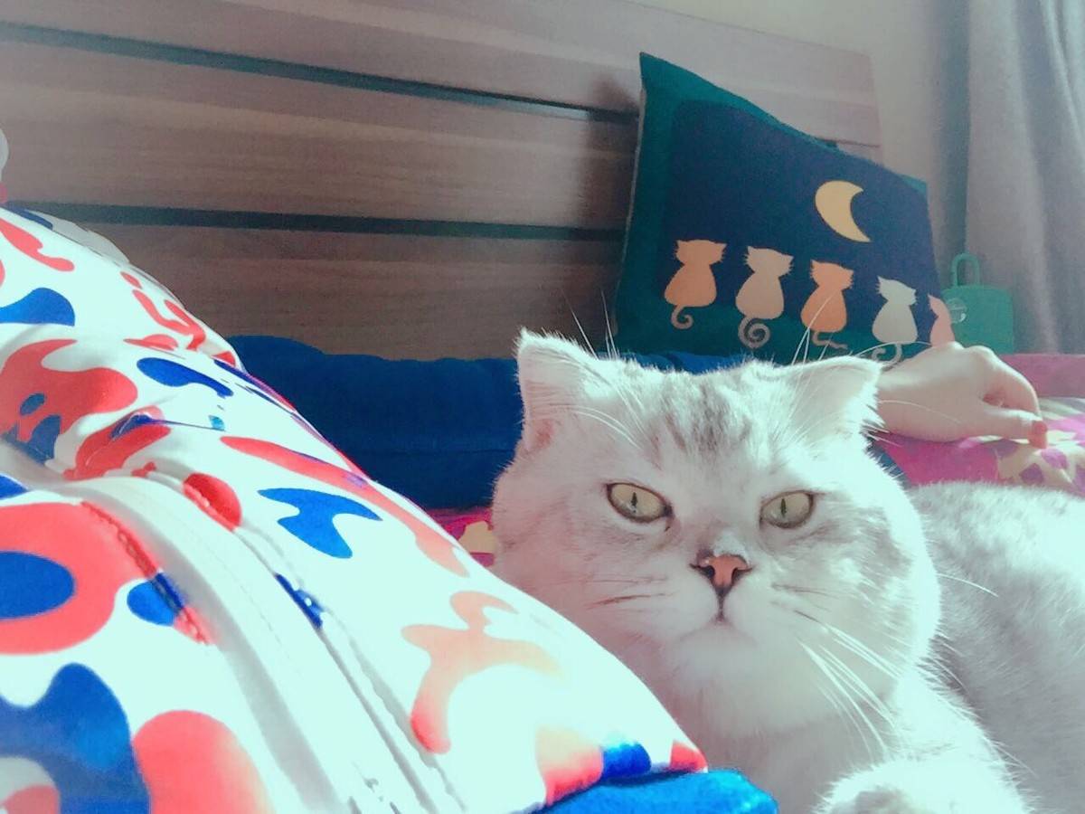 周末，和嬷蜜一起睡午觉