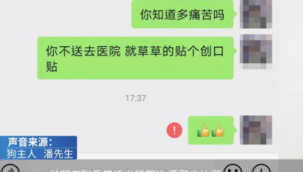 一男子将自家的萨摩耶送去宠物店洗澡,不料......
