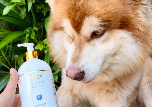 狗狗沐浴露有哪些种类?狗狗沐浴露类型汇总