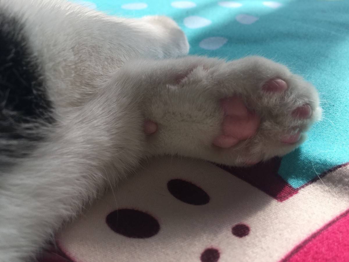 洗完澡以后可爱的小宝宝