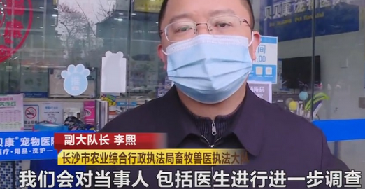 长沙一宠物医院给法斗犬洗澡,高温烘干致死,负责人:赔一两千了事