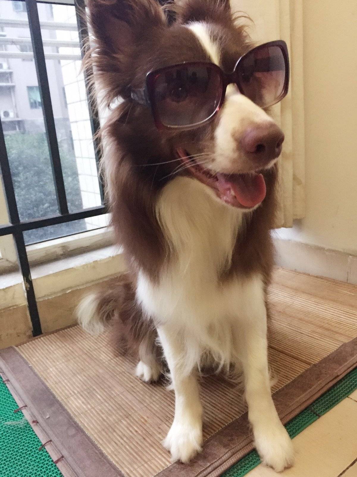 走,跟着大哥混有饭吃