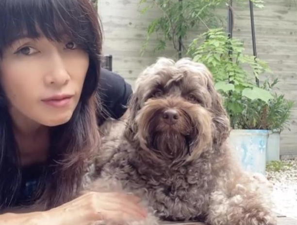 51岁工藤静香给爱犬洗澡,花苞型刘海显脸小,次女光希脚踩LV晒照