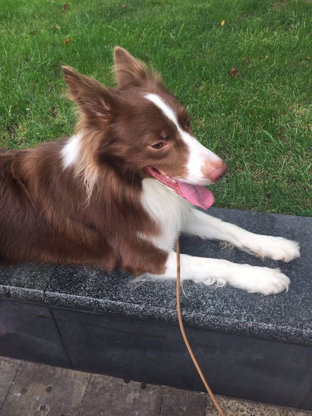 哎呀！看你这是最后一次了，算了，带你在淘气一次[可爱][可爱]