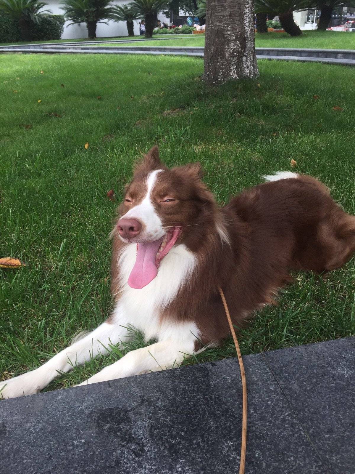 哎呀！看你这是最后一次了，算了，带你在淘气一次[可爱][可爱]