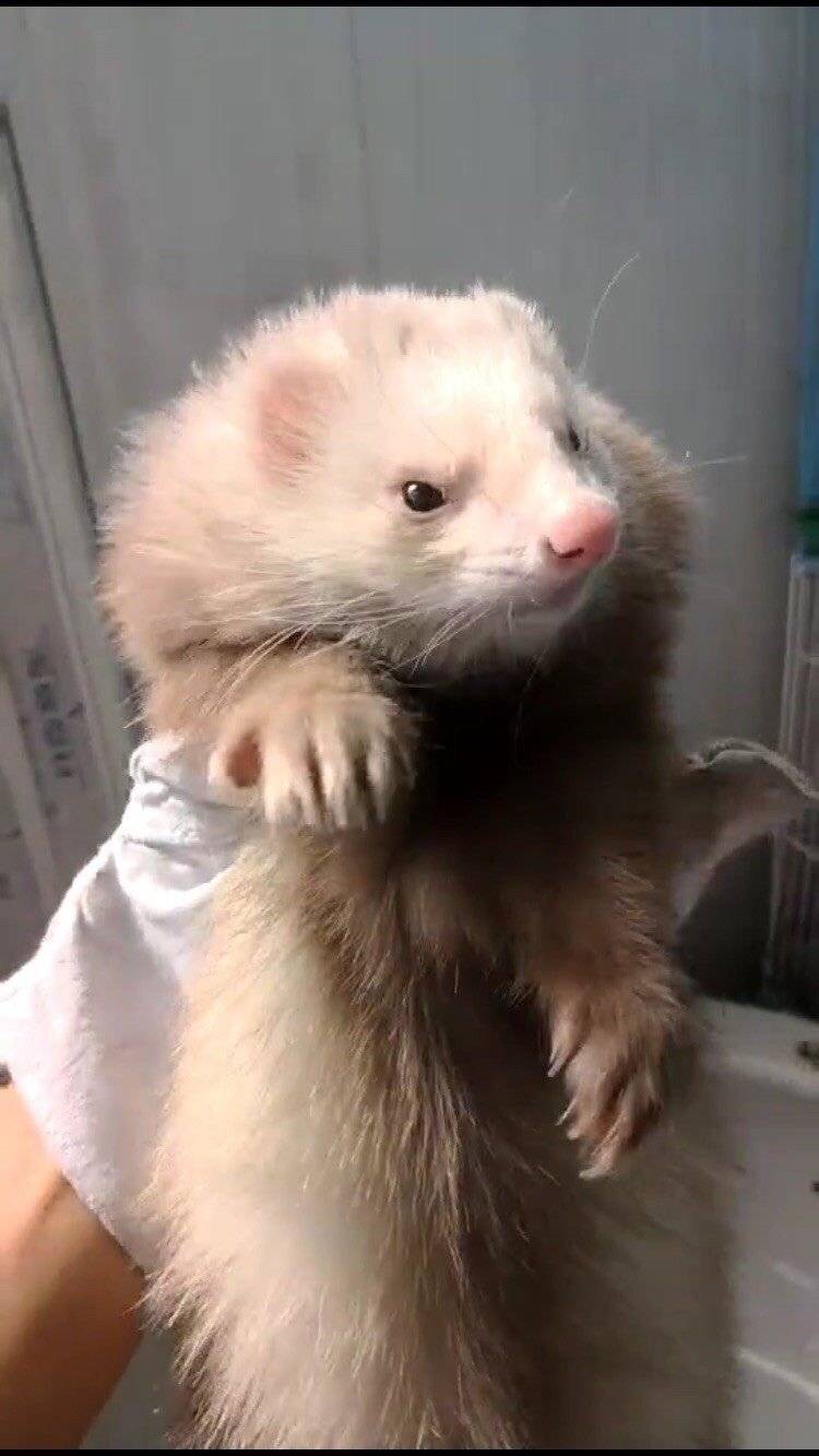 小可爱们都到了！有喜欢的吗？