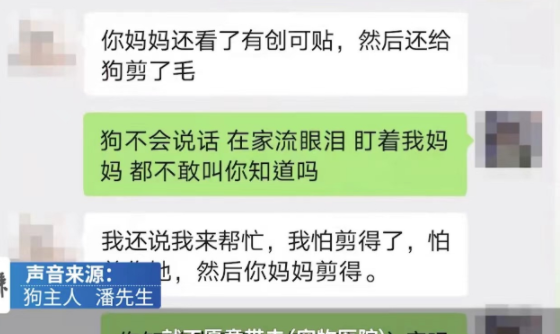 一男子将自家的萨摩耶送去宠物店洗澡,不料......