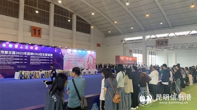 第六届昆明东盟宠物博览会在滇池国际会展中心开幕