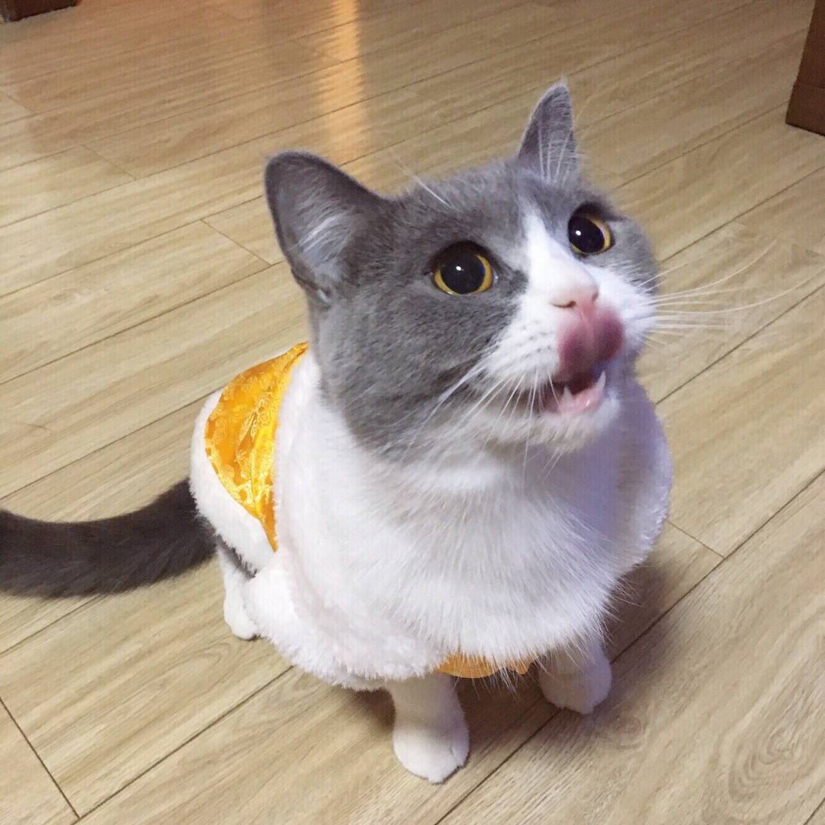 哀家乏了，尔等跪安吧。 容嬷嬷，送客。