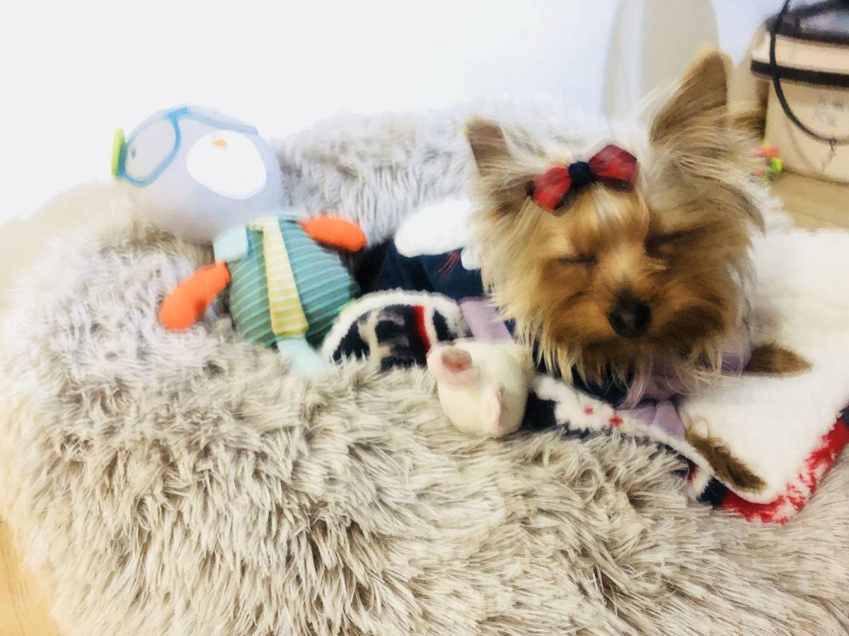 萌萌哒偶回来啦……么么哒~小兔子