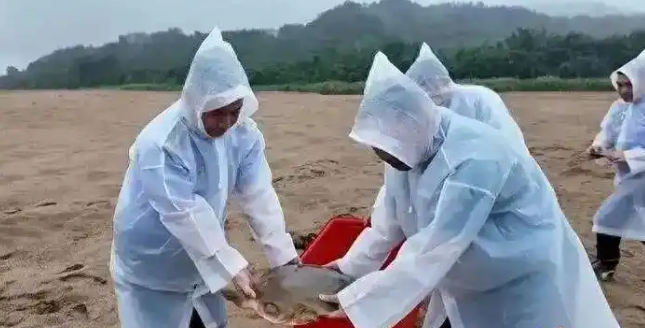 江中惊现“西游记神兽”,渔民一个电话,救下国家一级保护动物