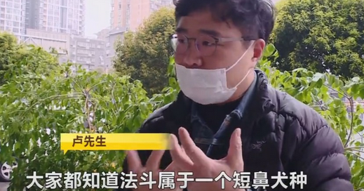 长沙一宠物医院给法斗犬洗澡,高温烘干致死,负责人:赔一两千了事