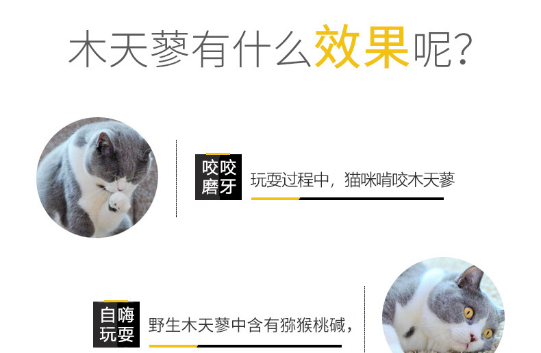 猫薄荷磨牙棒木天蓼10支装 (不包邮)