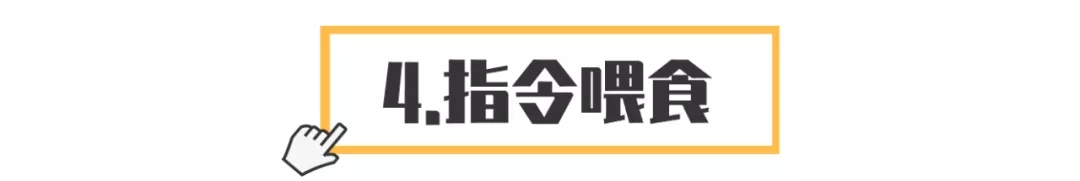 狗子吃东西狼吞虎咽?小心酿成大祸!