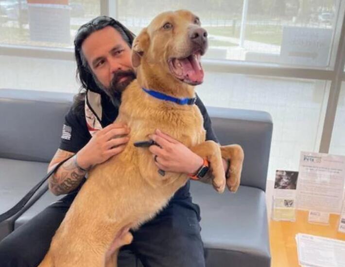 国外一只宠物狗,不慎走丢后流浪1300公里,花了5年时间找到主人