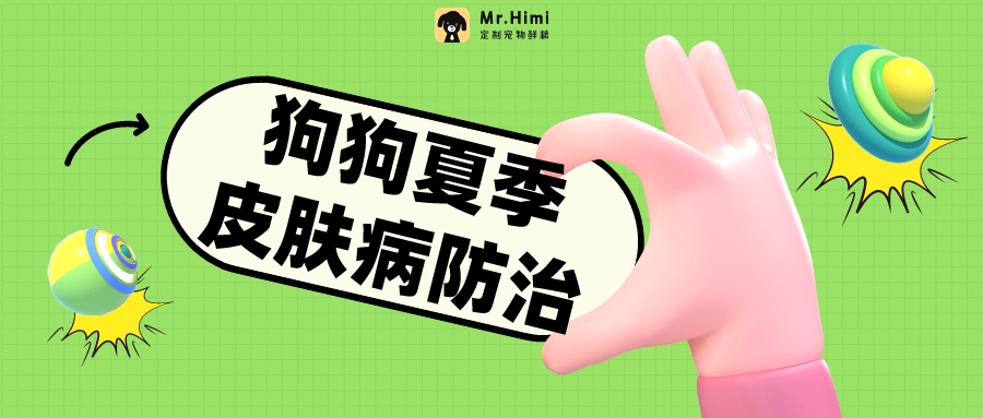 警惕!狗狗夏天容易得的皮肤病,铲屎官一定要注意防治!