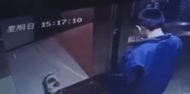 男孩利用电梯吊死宠物狗,引起众怒,家长却责怪物业曝光视频