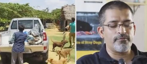 不忍流浪狗被捕杀 印度男子收养700多只流浪狗