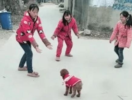 女孩在垃圾桶中捡到一只“猴子”,回家发现是一只狗,富人最喜欢