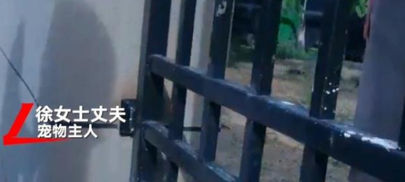 寻狗送北京房产?打印店印错,能成为不兑现的借口?