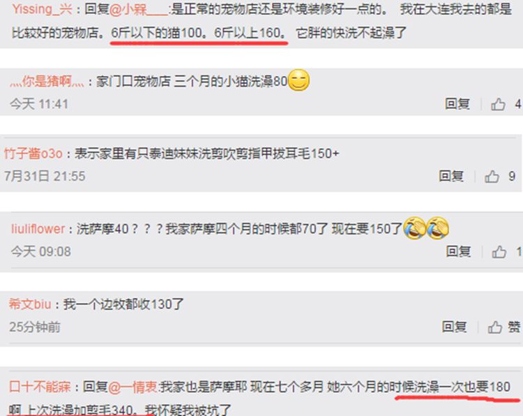 主人宁愿自己淋雨,也要给狗狗穿雨衣,真相让铲屎官们感同身受
