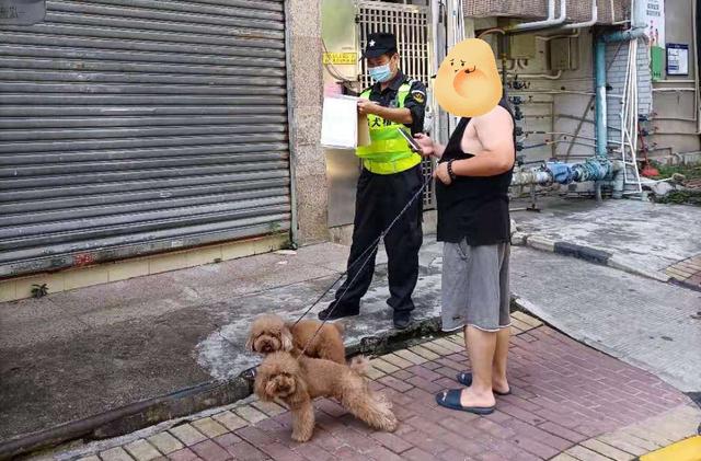 举报有奖!这些不文明养犬行为将被重点整治!