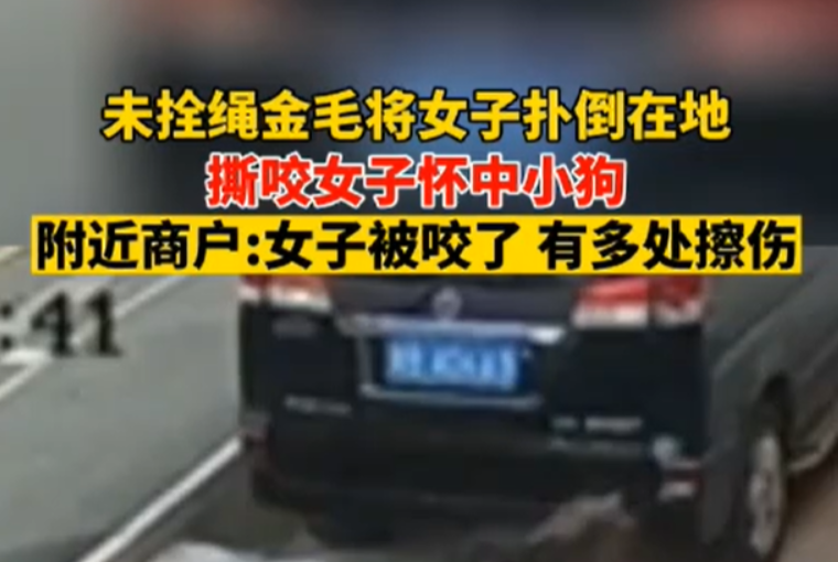 金毛扑倒女子事件双方已和解:达成赔偿协议,小狗在治疗中