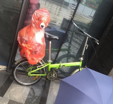 小伙怕狗狗被淋雨湿,想到了这类奇怪的招数,过路人见到竞相笑坏