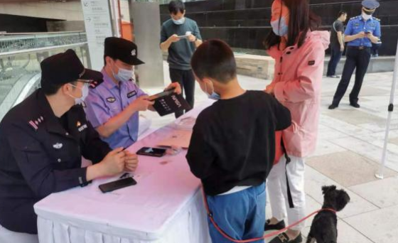 青岛开展养犬管理专项整治行动 遛狗不牵绳涉嫌违法