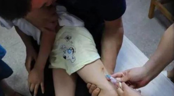 只有人文明了,狗才能够文明