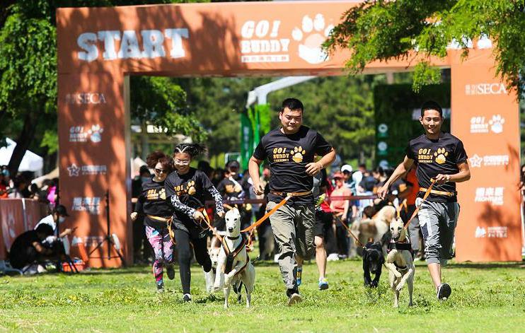 人犬合作征战障碍赛!狗巴迪勇士赛首站登陆北京
