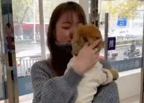 铲屎官偶遇6个月前丢失的狗,狗狗:我还以为你不要我了!