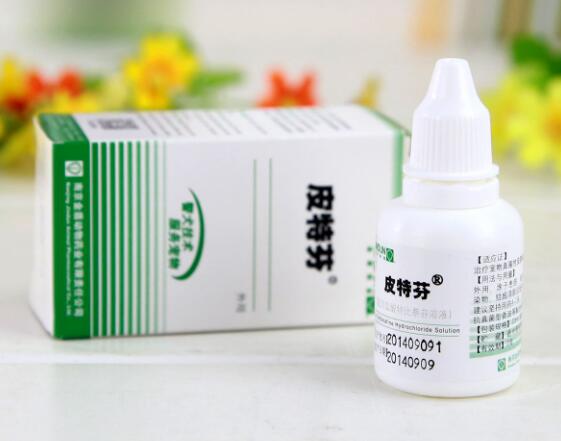 宠物医院不会告诉你,家中常备这些药,狗狗再也不怕生病了