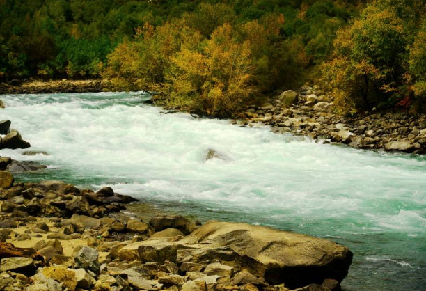 狗狗梳下来的毛不要扔，用来织成这样一双毛靴子，谁看了都羡慕