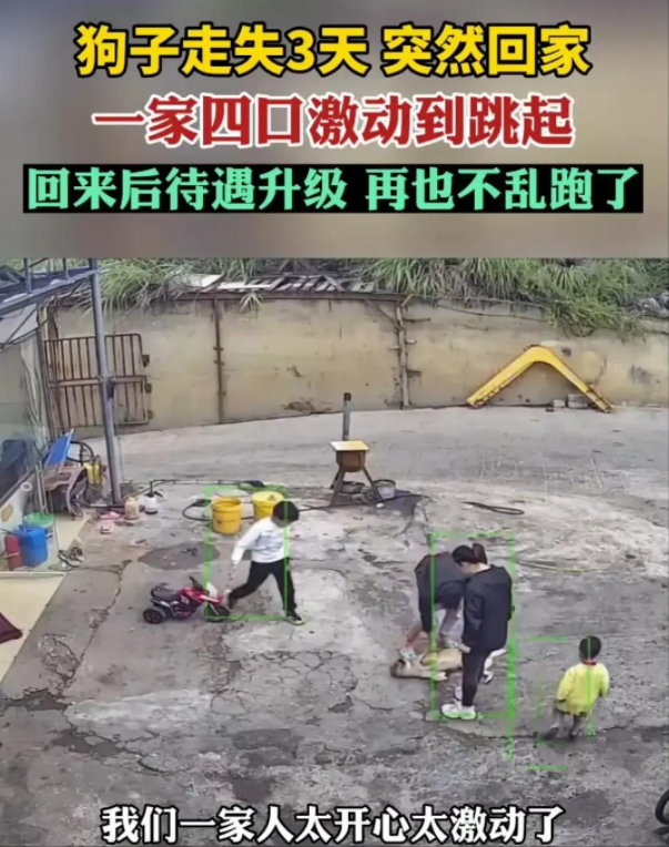 狗子走失3天,主人一家4口激动跳起来!所以趁它在的时候,请善待