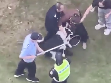 女士小区内拴绳遛边牧，却遭到3名保安抓捕，只因规定没法办狗证